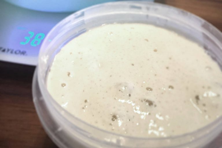 Sourdough starter in a container