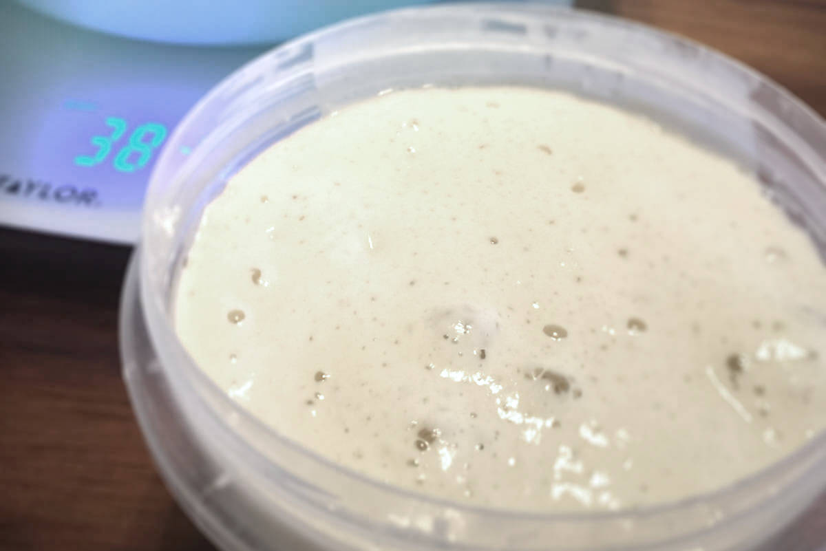 Sourdough starter in a container