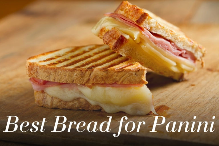 Best Bread for Panini